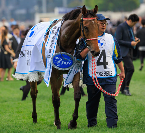 Torryburn Stud bred and sold Voyage Bubble won the 2023 Hong Kong Derby - image HKJC