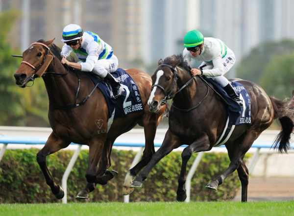 Six G1 Victories And Counting For Torryburn Stud's Yearling Graduate Voyage Bubble - Image HKJC