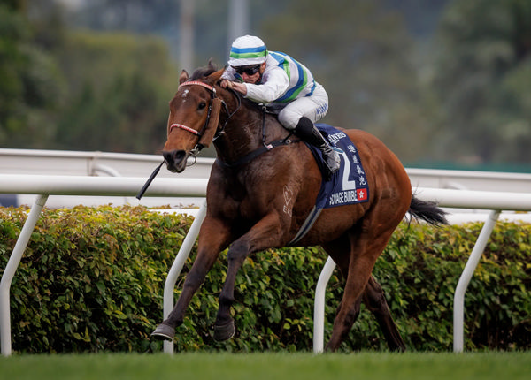 Torryburn Stud bred and sold Voyage Bubble won the G! HK International Mile - image Grant Courtney