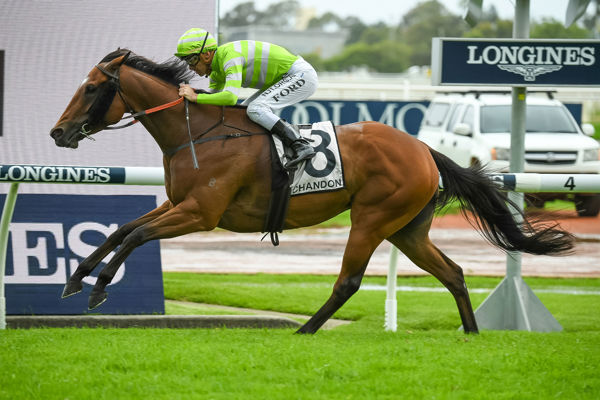 Vulpine all the way in Starlight Stakes (image Steve Hart)