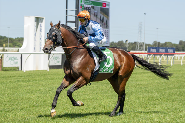 Waerea returns a winner at Kembla - image Bradley Photos