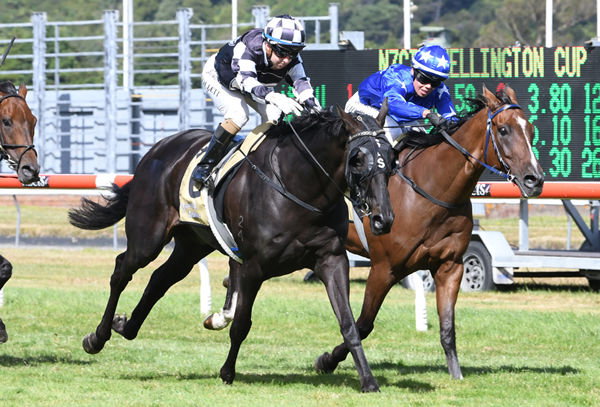 Sam Collett brings Waisake with a storming run to take out the Gr.3 NZ Campus of Sport & Innovation Wellington Cup (3200m) at Trentham Photo Credit: Race Images – Grant Matthew