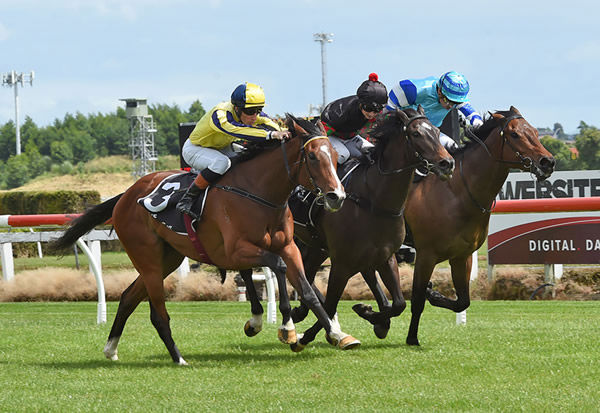 Waitak (left) gets the better of Channel Surfer (middle) and Matter Of Honour (inner) at the finish of the Listed Trevor & Corallie Eagle Memorial (1500m) at Te Rapa Photo: Race Images – Megan Liefting 