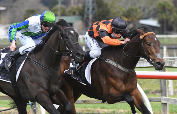 Wakari (right) holds out I Wish I Win to take out the Listed El Roca-Sir Colin Meads Trophy (1200m) at Hastings Photo Credit: Race Images – Peter Rubery