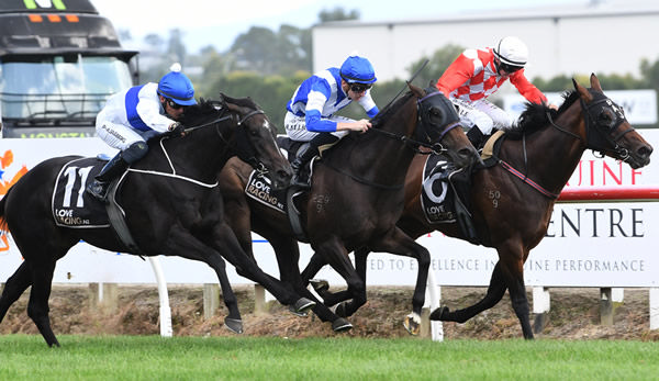 Wallen charges late to score a sensational win in the Sir Patrick Hogan Karapiro Classic (1600m) at Te Rapa on Saturday.  Photo: Kenton Wright (Race Images)
