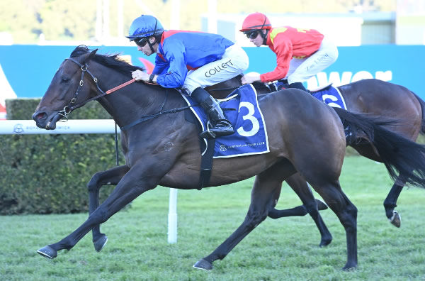 War Eternal gets the job done at Randwick - image Steve Hart