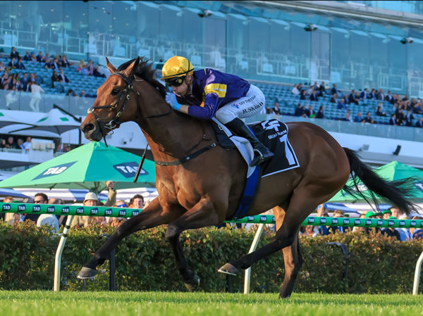 War Machine wins the G2 Gilgai Stakes - image Grant Courtney