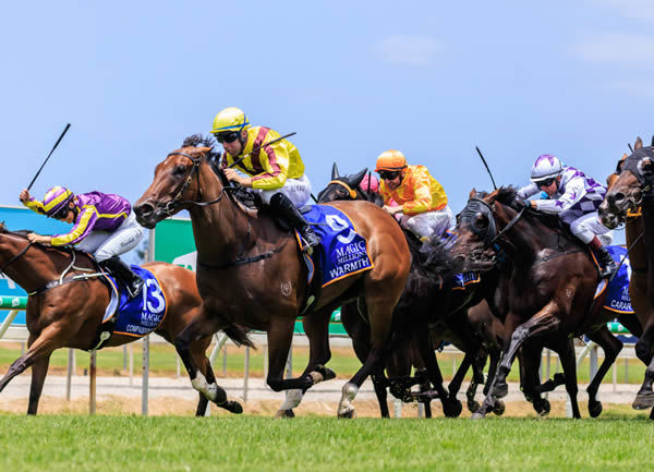 Warmth wins the Magic Millions Maiden - image Grant Courtney