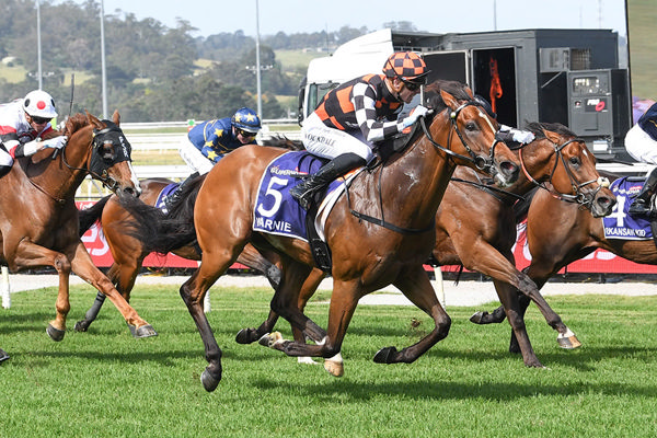 Warnie (IRE) Took His Earnings Past The $1m Mark With His Supernova Win - Image Brett Holburt/Racing Photos