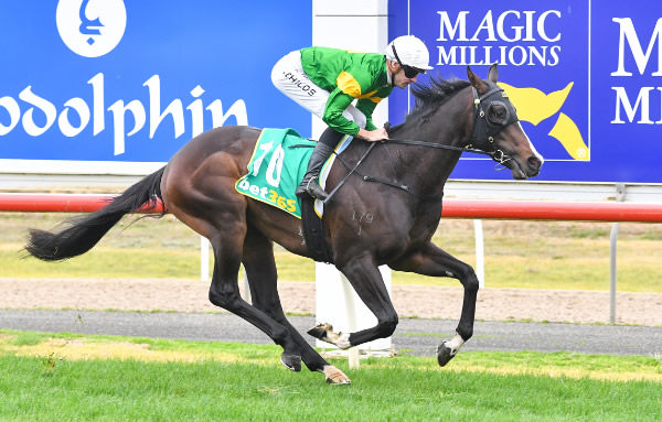 Warparty wins by daylight at Seymour - image Pat Scala / Racing Photos