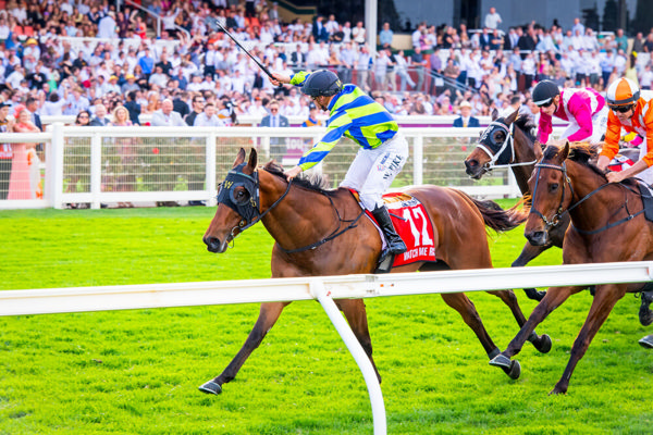Willie Pike salutes the Railway crowd aboard Watch Me Rock - image Western Racepix