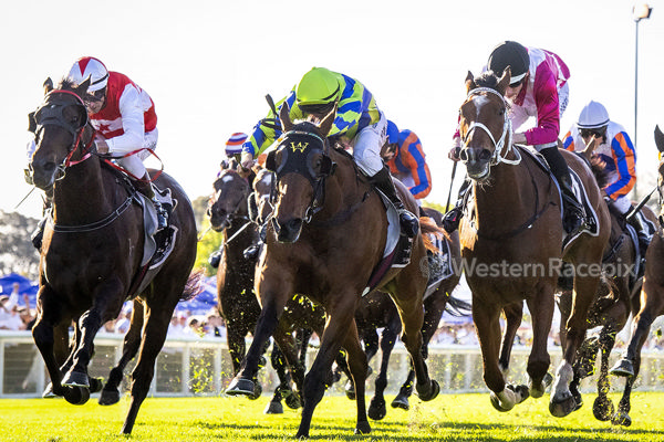 Watch Me Rock. Photo: Western Racepix