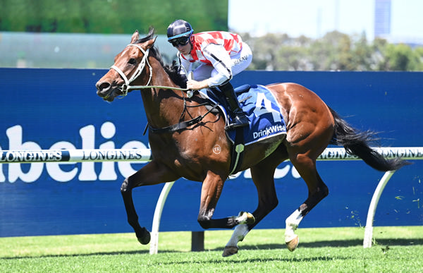 Waterford (IRE) looms as a future stakes-winner for Wake Up (Ger) - image Steve Hart