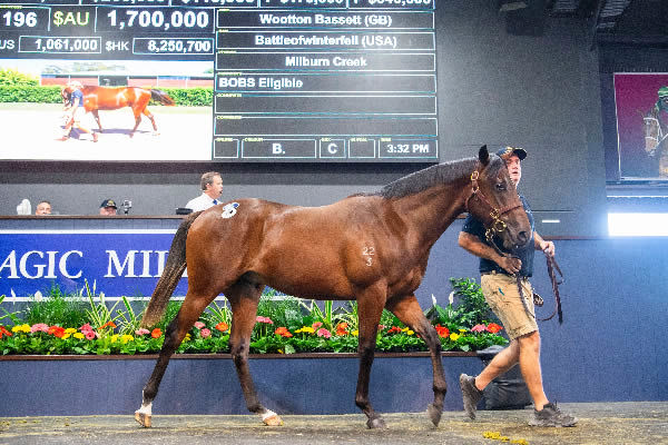 $1.7million Wootton Bassett (GB) colt from Battleofwinterfell (USA).