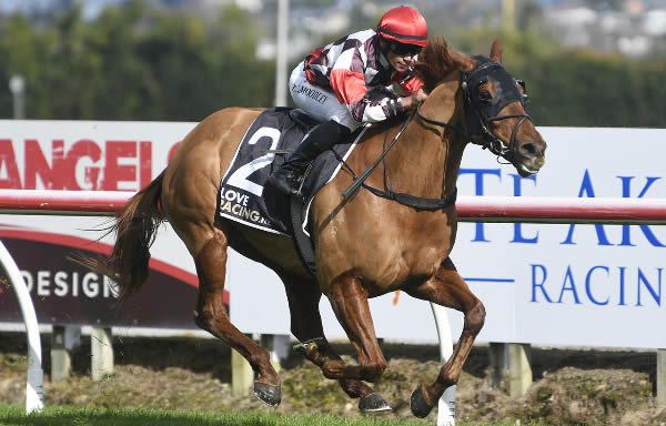 Wewillrock powers away to an impressive victory in the Group One Turf Bar Sprint (1200m) at Te Rapa.   Photo: Kenton Wright (Race Images