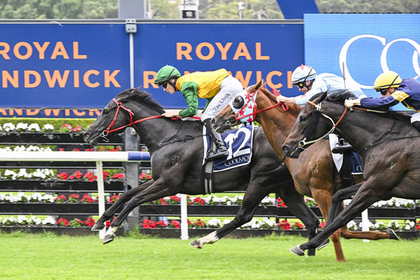 First Black Type Victory For Lonhro Mare Weeping Woman - Image Bradley Photos