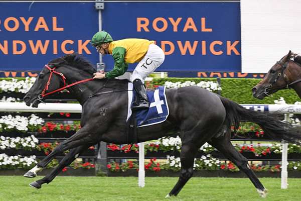 In Form Mares Should Never Be Discounted - Four Straight For Weeping Woman - Image Bradley Photos