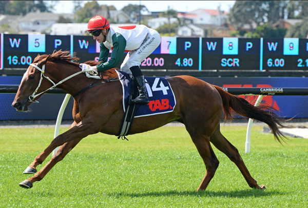 Well Written and Matt Cartwright stride clear to take out Saturday’s Join TAB Racing Club (1200m) at Ellerslie.  Photo: Therese Davis (Race Images)
