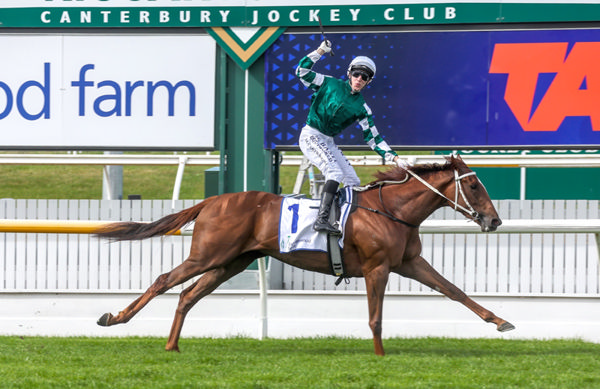 Well Written winning the Gr.1 Barneswood Farm New Zealand 1000 Guineas (1600m) at Riccarton on Saturday. Photo: Ajay Berry (Race Images South)