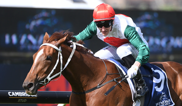 Well Written scores a stunning win in the Gr.2 Windsor Park Stud Soliloquy Stakes.   Photo: Kenton Wright (Race Images)