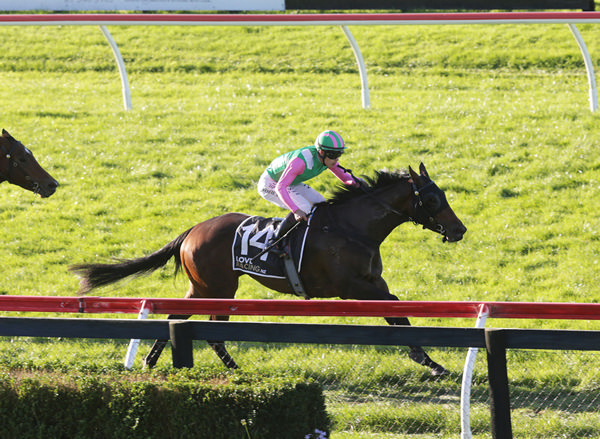 Wessex is going powerfully as she heads to the winning post at Rotorua to secure victory in the Gr.3 Rotorua ITM Stakes (1400m) Photo: Trish Dunell