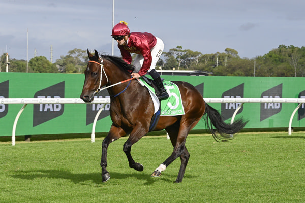 West of Swindon is now in work with Ciaron Maher - image Bradley Photography 