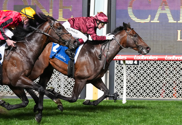 Wootton Bassett (GB) colt West of Swindon edges out Ghaiyyath (IRE) colt Romantic Encounter - image George Sal / Racing Photos 