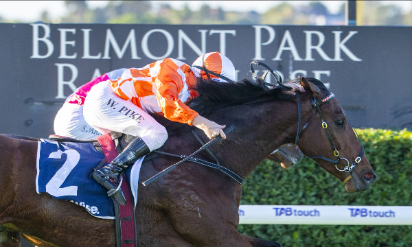 Western Empire added another Group win to his record on Saturday taking out the Gr.3 Belmont Sprint. Photo: Western Racepix