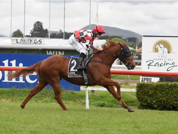 Wewillrock will contest the Listed Bob Charley Stakes (1100m) at Randwick on Saturday. Photo: Trish Dunell