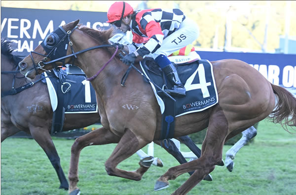 Kiwi four-year-old Wewillrock scores over 1200m at Randwick - image Steve Hart