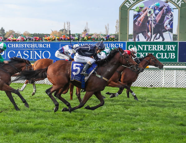 Whale Song (inner) gets his nose in front to defeat Lightning Jack at Riccarton Photo Credit: Race Images South