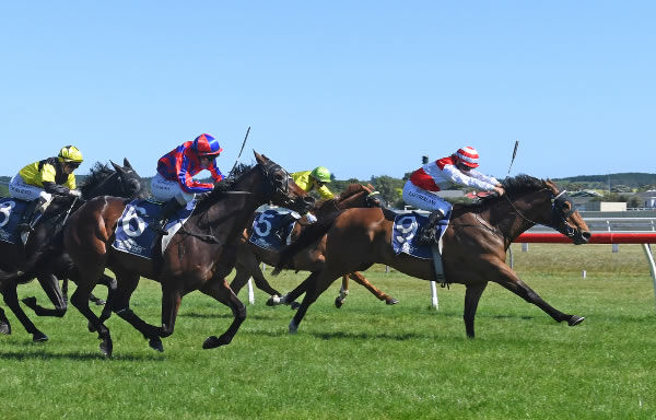 Whangaehu and jockey Lily Sutherland take out the Wanganui Cup. Photo: Peter Rubery (Race Images Palmerston North)