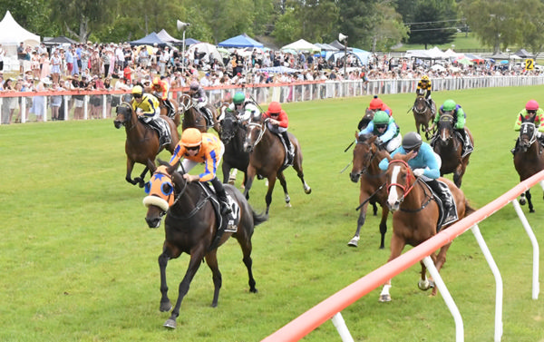 What You Wish For winning the Taupo Cup (2000m) in front of a bumper holiday crowd. Photo: Peter Rubery (Race Images