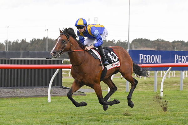 Whatalegacy bolts in at Kembla - image Bradley Photography