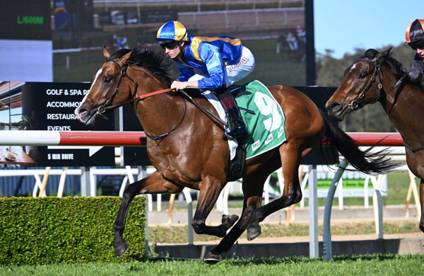 Whatalegacy makes a winning debut at Wyong - image Steve Hart