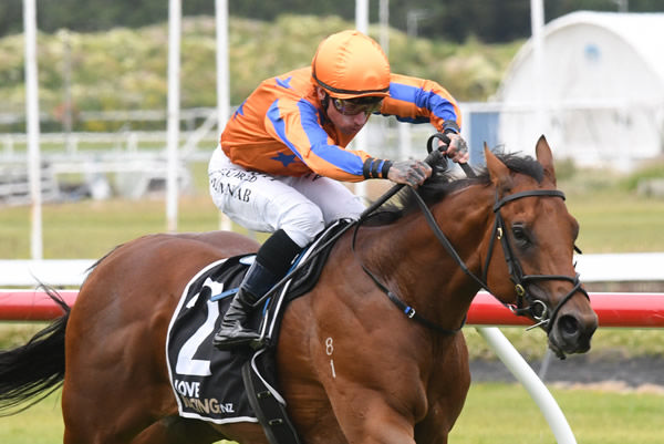 When Stars Align was the victor in a Te Akau quinella in the Japac Homes (1100m) at Trentham on Saturday. Photo: Peter Rubery (Race Images Palmerston North)