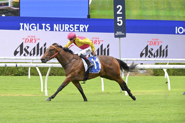 Where's the Circus wins the $400,000 Inglis Nursery - image Bradley Photos