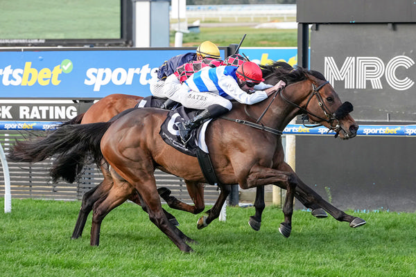 First Stakes Success For Whisky On The Hill (GB) - Image Photo by George Sal/Racing Photo
