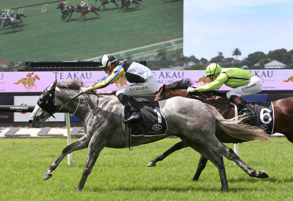 White Noise gets the better of Regazzo to win the Listed Te Akau Gingernuts Salver (2100m) at Ellerslie Photo Credit: Trish Dunell