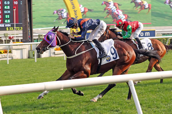 Whizz Kid wins the G3 Bauhinia Sprint Trophy - image HKJC