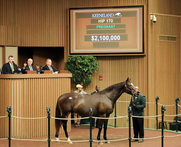 White Hot was the highest priced mare sold through the ring.