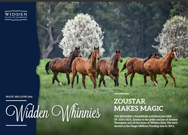 Click here to read the Widden Whinnies!