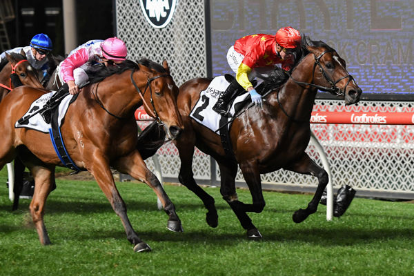 Wild Ruler wins the G1 Moir Stakes - image Grant Courtney