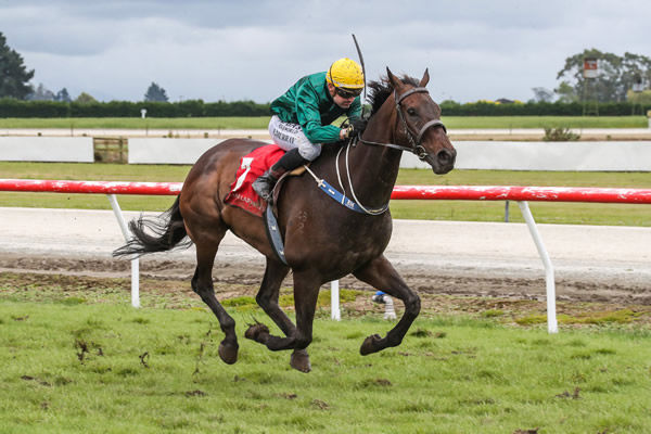 William Wallace (NZ) wins the Listed Timaru Cup.