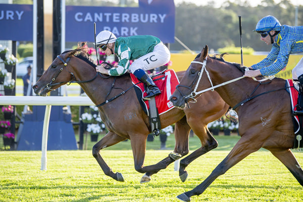 Handy Maiden Victory For Yulong's Willingham - Image Bradley Photos