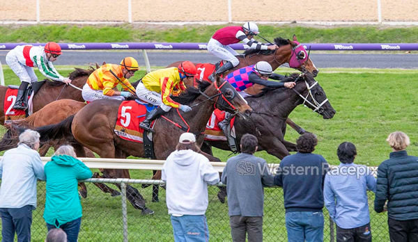 Wind and the Lion dives between runners to take the win - image Western Racepix