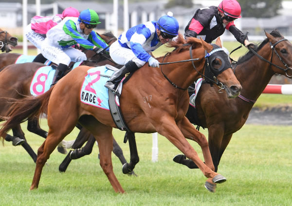 Wingman winning the Aztech Engineering 3YO (1400m) at Trentham on Saturday. Photo: Peter Rubery (Race Images Palmerston North)