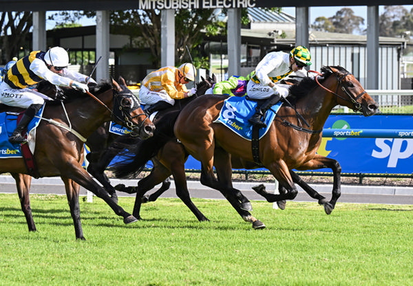 Wings of Desire gets her first metro win at Caulfield - image Pat Scala/ Racing Photos