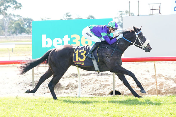 Wootton Bassett 3yo Wise Inlaw Breaks Maiden Impressively - Image Scott Barbour/Racing Photos