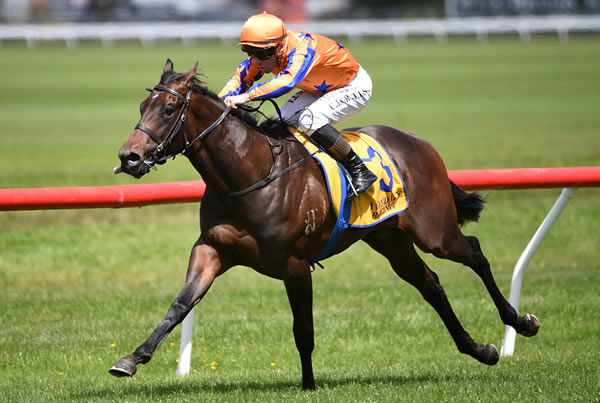 With A Vengeance winning on debut at Avondale on Wednesday.  Photo: Kenton Wright (Race Images)